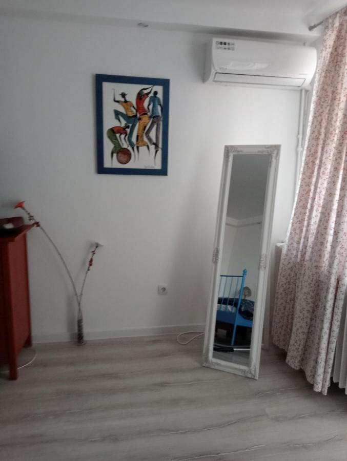 Skyline Central Apartment Temesvár Kültér fotó