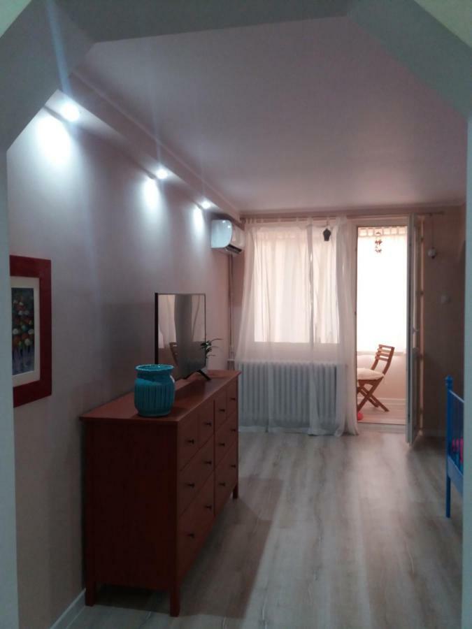 Skyline Central Apartment Temesvár Kültér fotó