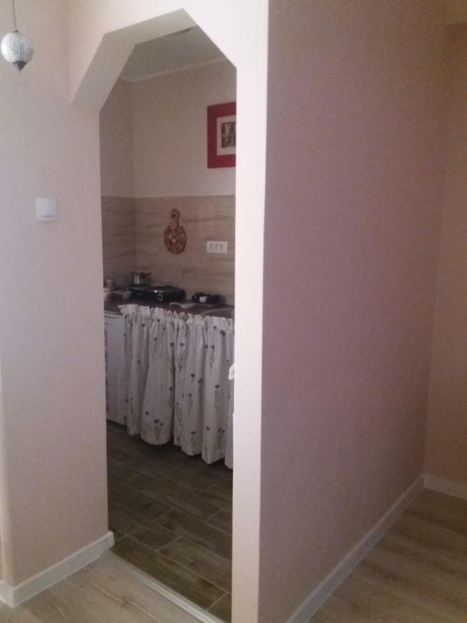 Skyline Central Apartment Temesvár Kültér fotó