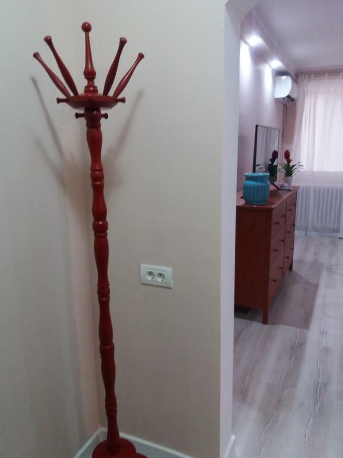 Skyline Central Apartment Temesvár Kültér fotó