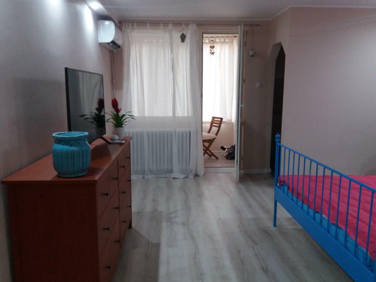 Skyline Central Apartment Temesvár Kültér fotó