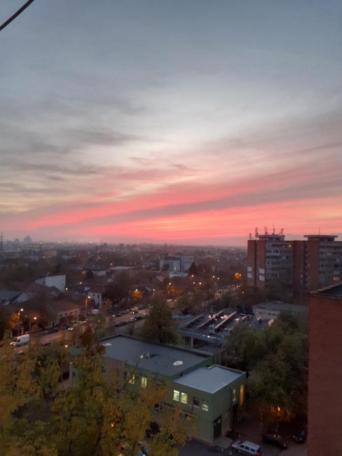 Skyline Central Apartment Temesvár Kültér fotó