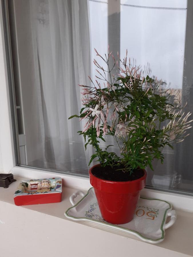 Skyline Central Apartment Temesvár Kültér fotó