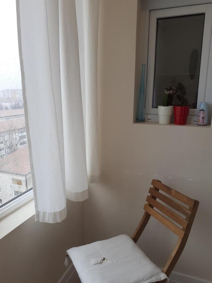 Skyline Central Apartment Temesvár Kültér fotó