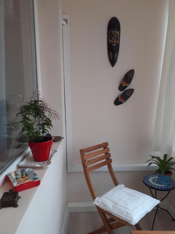 Skyline Central Apartment Temesvár Kültér fotó